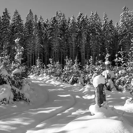 アパート Le Petit Logis ジャレ