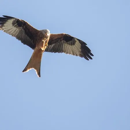 アパート Le Petit Logis *