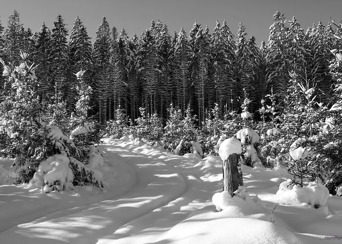 Apartamento Le Petit Logis Jalhay