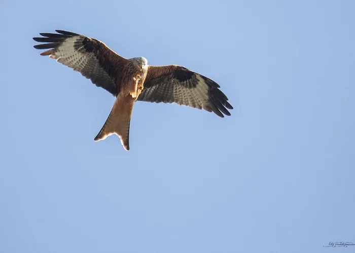 Apartamento Le Petit Logis *